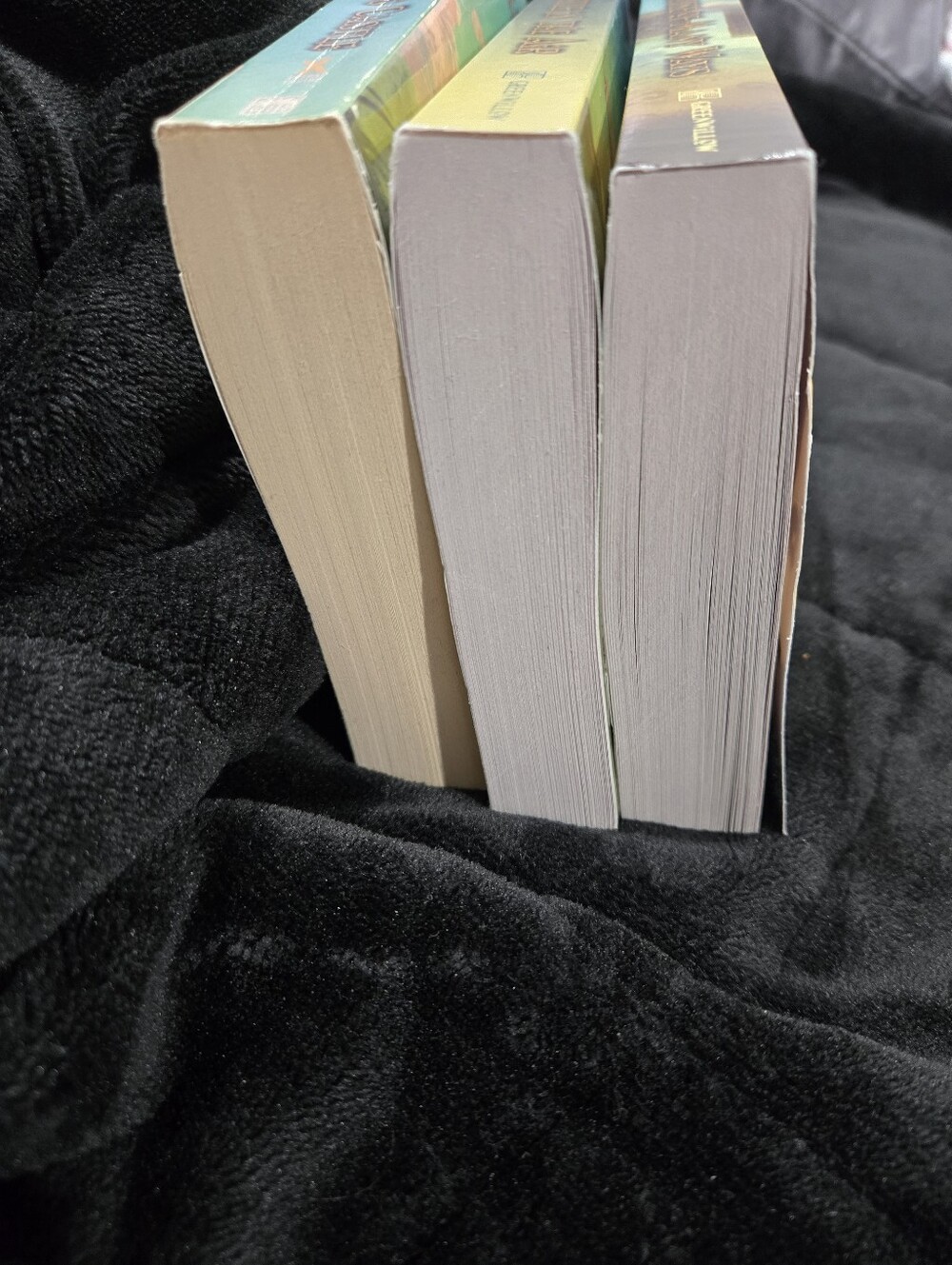 Howls Moving Castle, Castle in the Air, and House of Many Ways Book Set - Picture 3 of 5